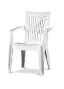 cadeira plastica royal